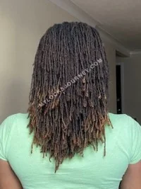 Types of dreads: The truth about microlocs