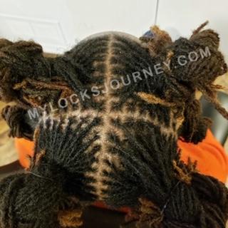 How To Start Dreads: Pros & Cons Of Each Loc Method - My Locks Journey