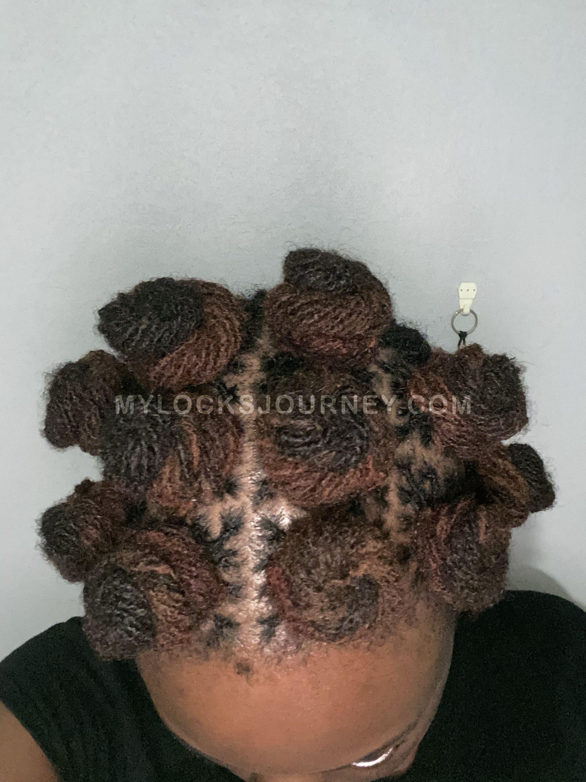 bantu knots on sisterlocks - curl locs